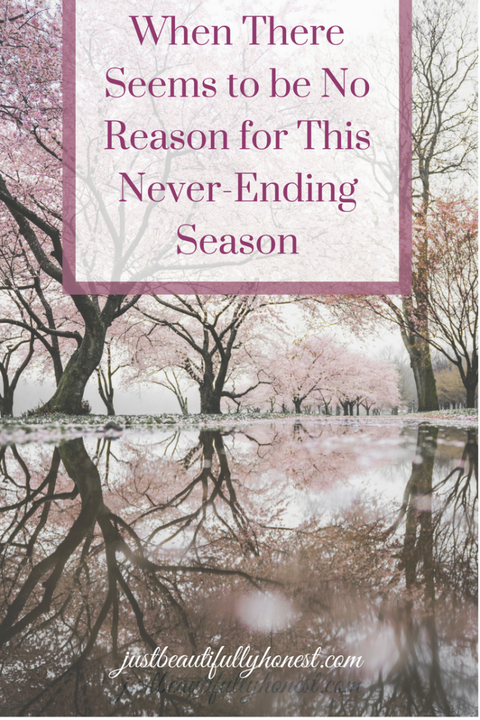 When There Seems to be No Reason for This Never-Ending Season | Encouragement for Life | Life Changes | Life Advice | justbeautifullyhonest.com
